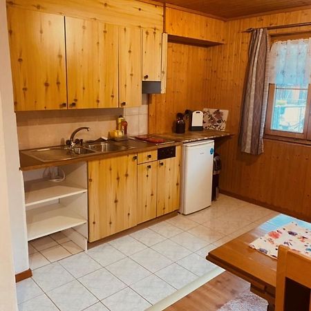 Guenstig Und Einfaches Studio Auf Dem Bauernhof Zuoz Esterno foto